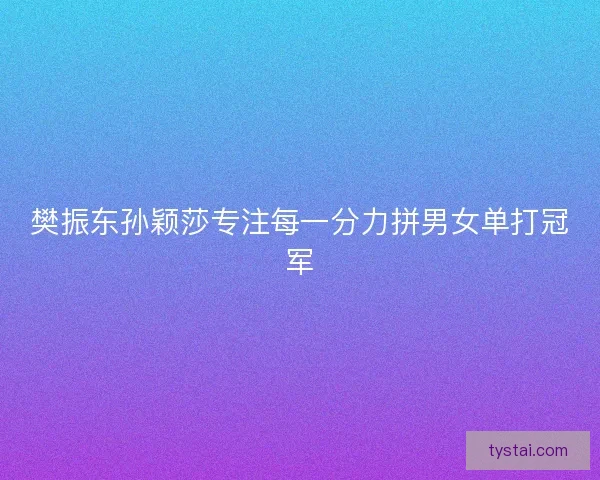 樊振东孙颖莎专注每一分力拼男女单打冠军